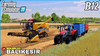 TAHIL HASADINI BİTİRDİK❗BÜTÜN UMUT PATATESLERDE❗YA KÂR EDEMEZSEK  #balıkesir #fs22 #farming