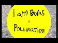 I am bones  pollination official music