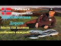 Норвегия. Морская рыбалка. Рыбалка в Норвегии!! Атлантическая дорога! Скумбрия и сайда наловил 8 кг!