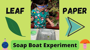Power a Boat with Soap | Soap Boat Experiment | Leaf and Paper | #surfacetension #ChannelBrix