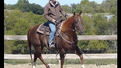 Believe She Wood    ***For info, price, etc., go to our website*** Valley View Ranch