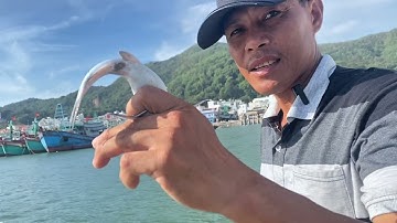 MỘT NGÀY ĐI CÂU – Cá Lên Liên Tục Ngoài Biển