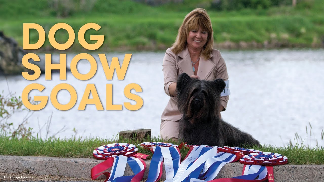 Making Goals for Dog Shows YouTube