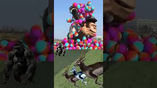 The mascot vibrato assistant Dog placed on the football field is popular, co-produced, and creative