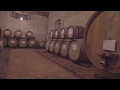 Winery in Chianti for sale of 300 Hectares (741,316 Acres)