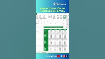 Excel #excel  #parati #excelonline #cursoonline #TrucosExcel #fyp #cursos #atajos