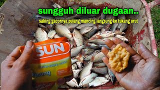 Download lagu Never thought of using this super effective bait before || killer bait for nilem fish #243