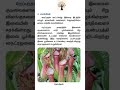 Tnpsc#easytnpscexams#tamil #gk#gkfacts#trendingshorts#biology#viraltnpsc#reel#shortsviral#shortsfeed