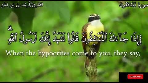 سورة المنافقون بمقام بيات بصوت الأخ أرشد بن نور الحق