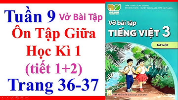 Vở Bài Tập Tiếng Việt Lớp 3 | Tuần 9 | Ôn Tập Giữa Học Kì 1 | Tiết 1 2 | Trang 36 37 | Sách Kết Nối