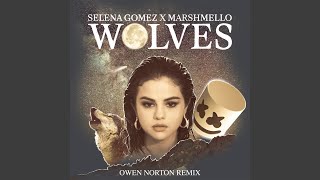 Смотреть клип Wolves (Owen Norton Remix)