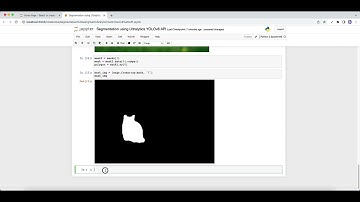 YOLOv8 segmentation using Ultralytics API