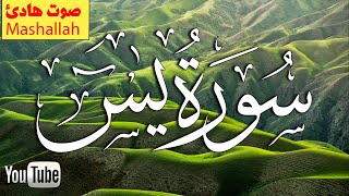 سورة يس - تلاوة هادئة ( كاملــــه ) القرآن بصوت جميل يريح قلبك 