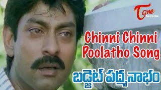 Budget Padmanabham Movie Songs | Chinni Chinni Poolatho Video Song | Jagapathi Babu, Ramya Krishna
