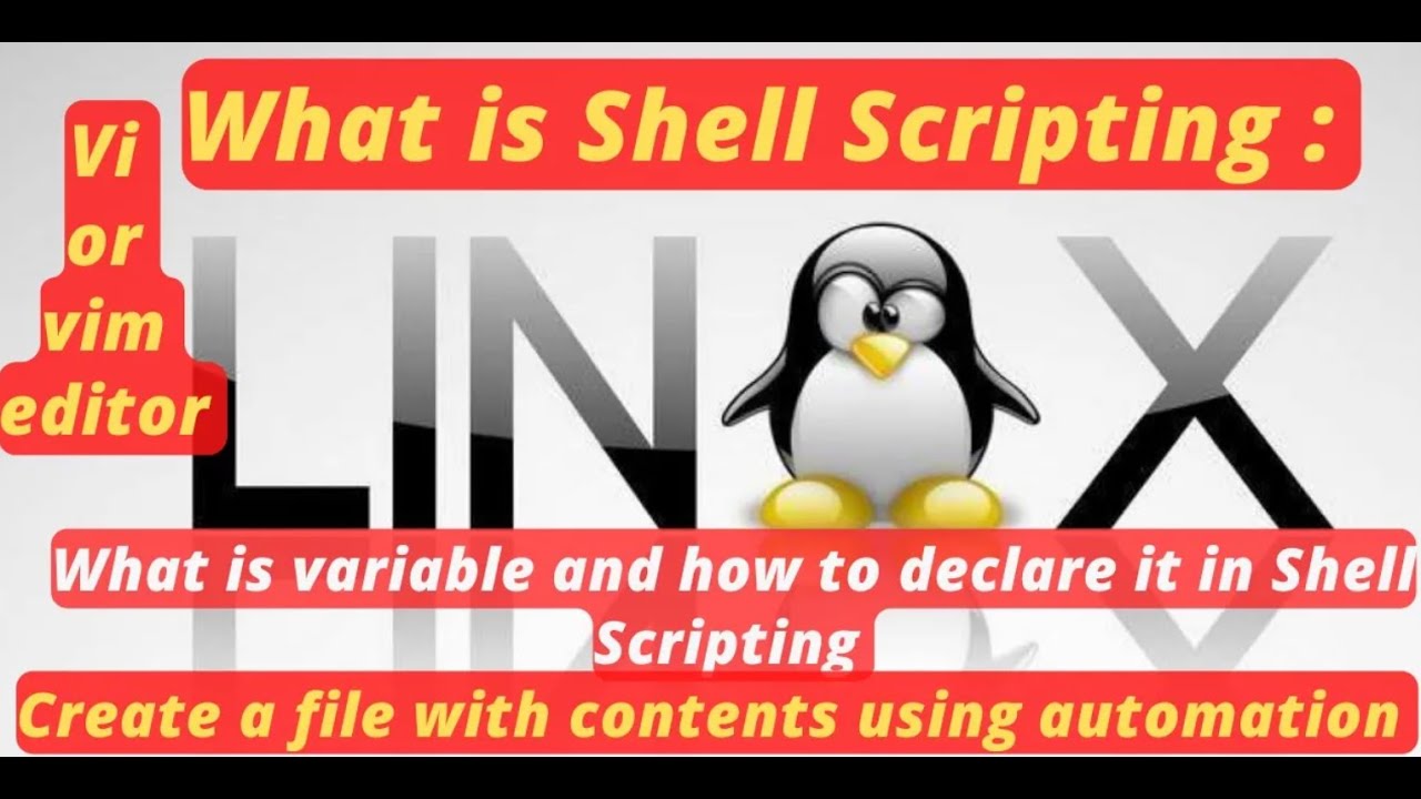 Shell Scripting |Vi Editor |Variable Declaration rules |Create a file with  contents using automation - YouTube