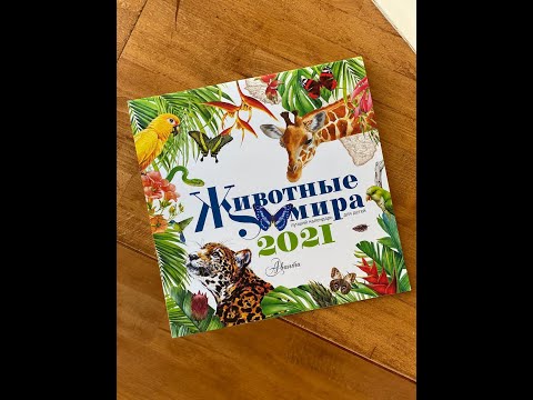 Видеообзор Календарь 2021 "Животные мира"