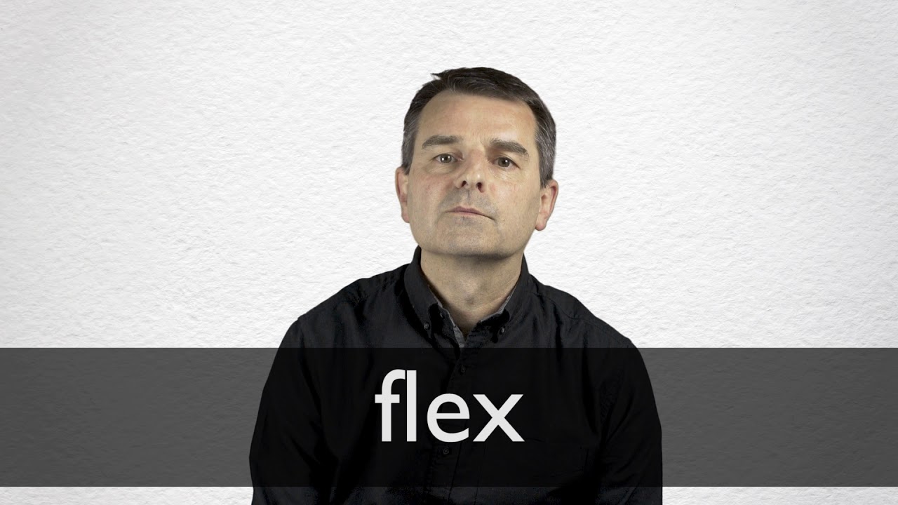 FLEX definition and meaning