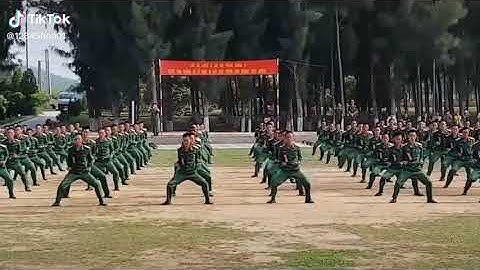 8 thế tấn 16 động tác võ