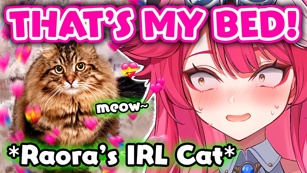 Raora's IRL Cat Interrupts Her Stream and Her Reaction Is Too Cute