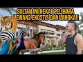 Gelo sultan ini nekat pelihara hewan2 monster dan eksotis di rumahnyaaudreya kingofthejungle