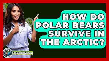 How Do Polar Bears Survive In The Arctic? - Earth Science Answers