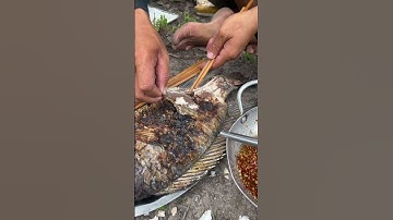 Cá rô phi khủng Lồ Nướng đãi khách p2#dongque #mientay #amthuc #monngon #amthucdongque #food