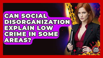 Can Social Disorganization Explain Low Crime In Some Areas? - True Crime Lovers