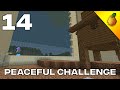 Peaceful Challenge #14: Finishing The Cat Farm