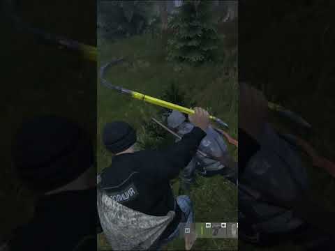 Видео: типичный DayZ