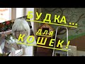 Где кошкам комфортнее спать? У моих кошек есть собственная будка