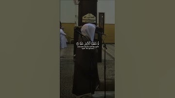 فلينظر الانسان الى طعامه |ياسر الدوسري-سورة عبس