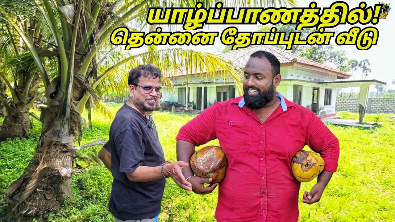 இப்படி ஒரு காணியா?😲 இந்த விலையில் யாழ்ப்பாணத்தில் Jaffna Land Sale | Tamil Vlogs | Alasteen Vlogs
