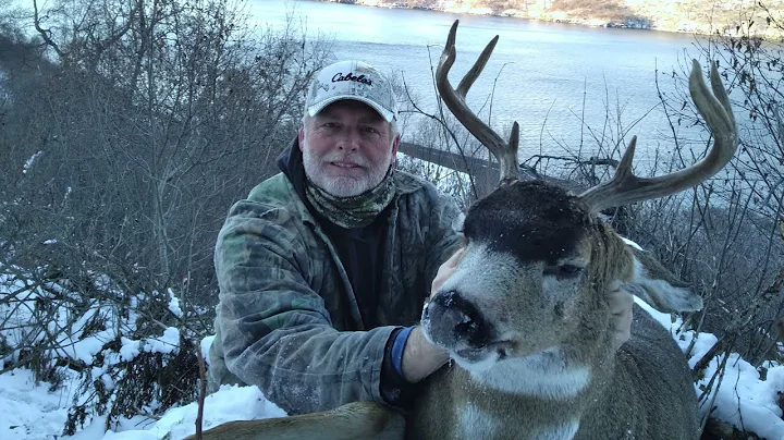 Kodiak Island Blacktail Deer & Fox Hunting " Damn ...