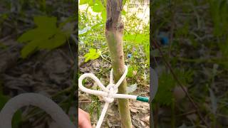 easy, and 100% reliable — perfect for camping, hauling, or everyday use knot  #shorts #camping