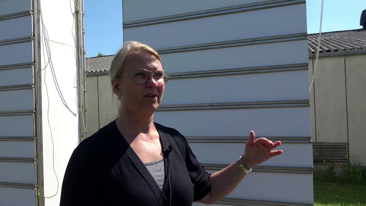 Deep Frontier, the root towers facilities for studying deep roots