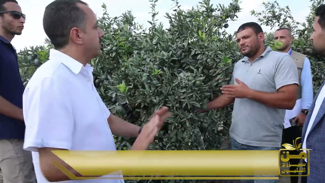 من سيزرع المليون في مزارع الأفوكادو والموالح.. وتفاصيل منظومة التكويد لشركة محاصيل مصر