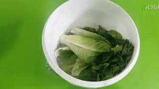 Como Hacer Gas Gratis Con Vegetales