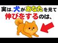 【9割が知らない!】犬のよくある行動に隠された本当の気持ち11選｜犬の厳選雑学