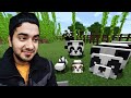 Creating an Island for my Panda Army in MINECRAFT 😍