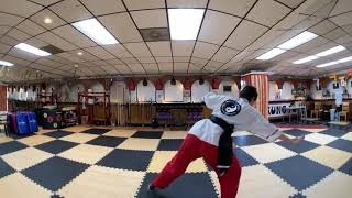 Introduction to Kung Fu Crane portion of the 108 06/11/2020