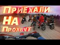 Приехали На Прохват - Собралось Больше 10-ти Человек / Покатушки на питбайке Бсе 125 и Аполло 150