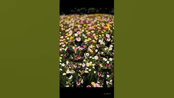 Sora openai 🥀 AI-Generated Video 🎶 Version 04 #SoraVideos #shorts #funny #cute