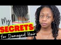 How To Repair DAMAGED Hair |  3 Tips for Fixing Broken Natural Hair