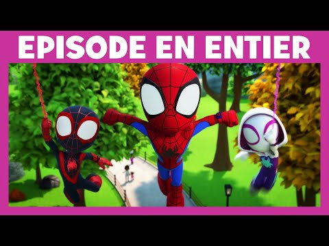 Spidey et ses amis extraordinaires - saison 1 EXTRAIT VF Web-ster