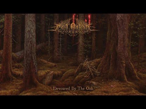 Cn Bardd - Devoured by the Oak (Full Album Premiere)