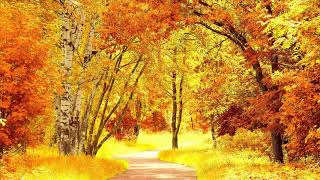 Golden Autumn .......... CHiLL OuT MiX 2017 (NeW) Golden Autumn .......... CHiLL OuT MiX 2017 (NeW)