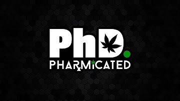 Leaflink How To - Access & Assess Sales Rep Activity Report