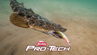 Berkley Pro-Tech | The Next Evolution in Hardbaits