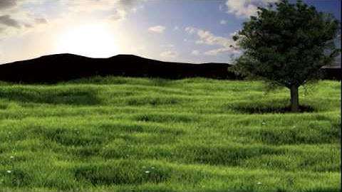 Realistic Tree 3D model from CGTrader.com