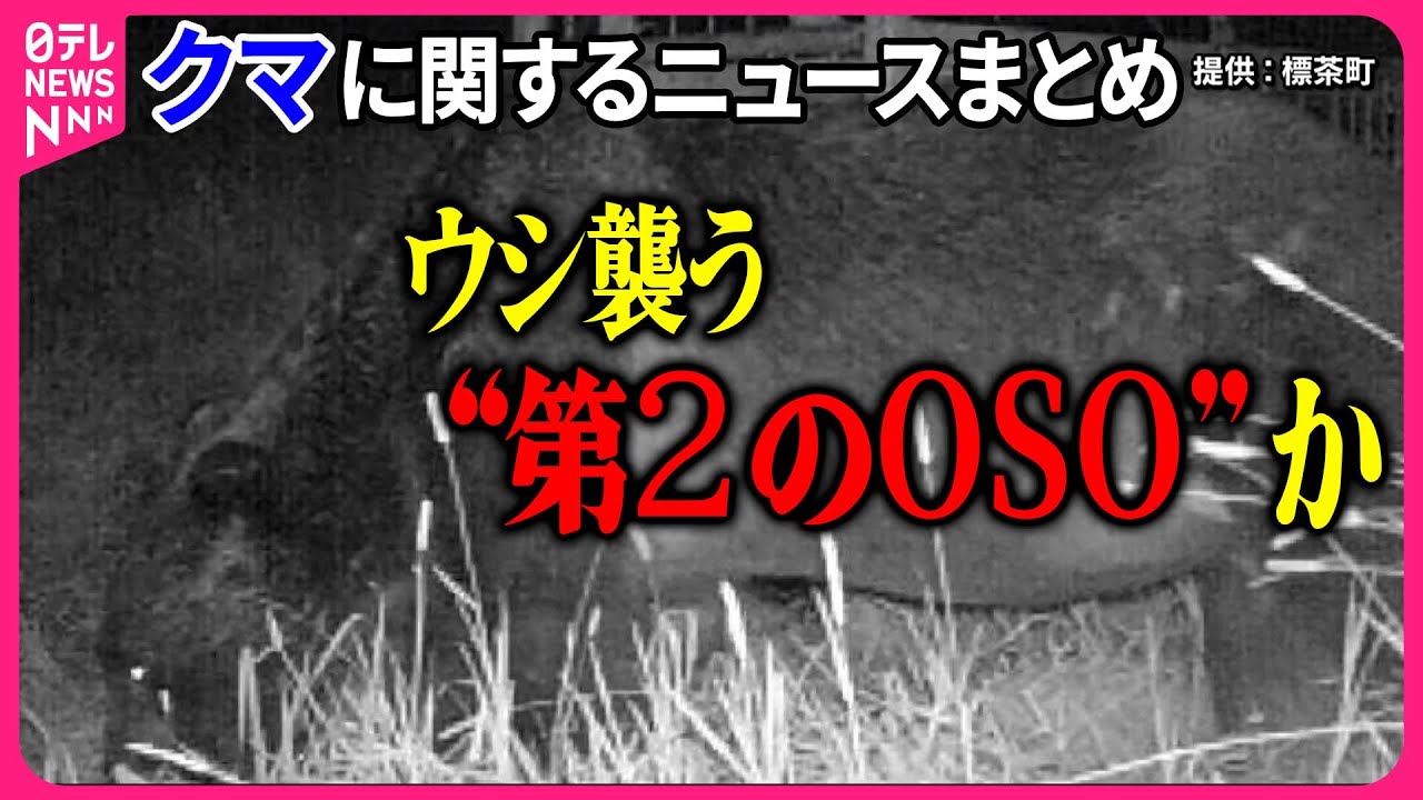ベア・アタックス クマはなぜ人を襲うか 1と2 ベア・アタックス―クマはなぜ人を襲うか (2) | S.ヘレロ, 日本